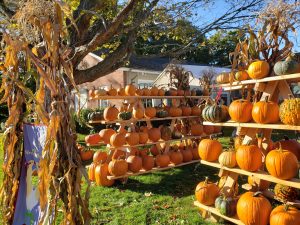 Harvest Festival